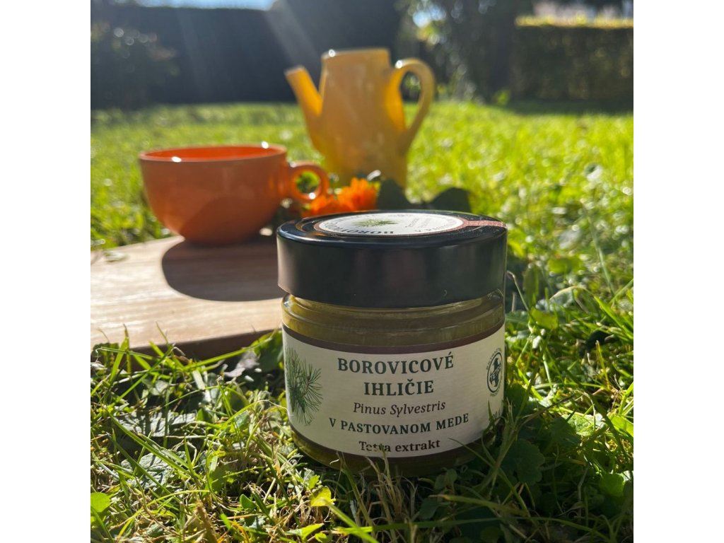 Liečivý med s tetra extraktom borovicového ihličia